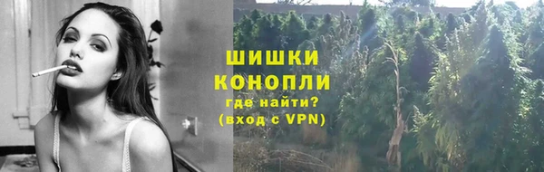 твердый Богородск