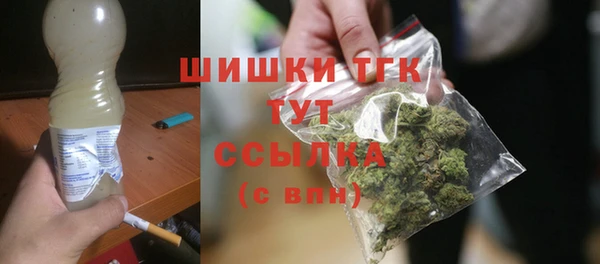 твердый Богородск