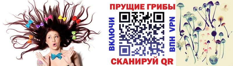 Галлюциногенные грибы мухоморы  Заречный 