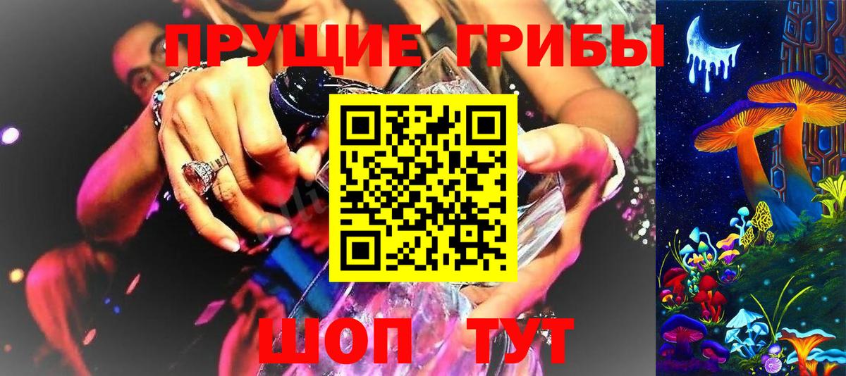 Заречный  Псилоцибиновые грибы MAGIC MUSHROOMS  Вход с VPN  Галлюциногенные грибы мицелий 